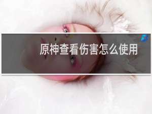 原神查看伤害怎么使用