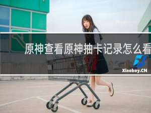 原神查看原神抽卡记录怎么看