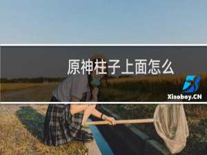 原神柱子上面怎么