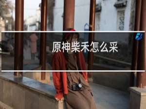 原神柴禾怎么采