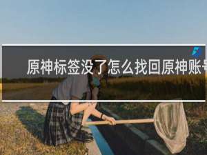 原神标签没了怎么找回原神账号