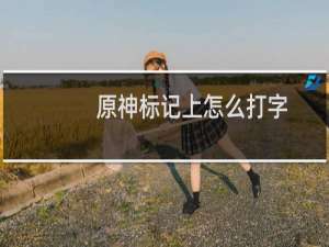 原神标记上怎么打字