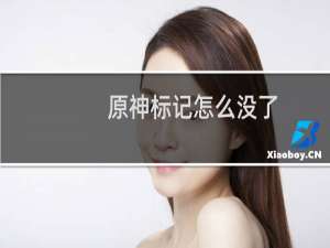 原神标记怎么没了