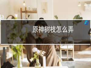 原神树枝怎么弄