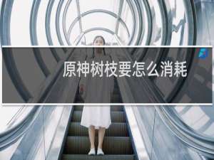原神树枝要怎么消耗