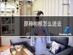 原神树根怎么进去