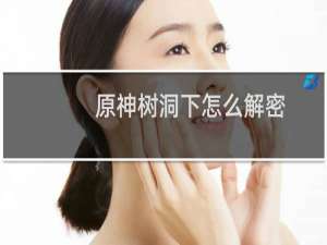 原神树洞下怎么解密