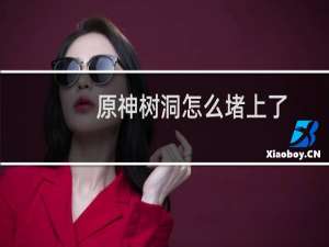 原神树洞怎么堵上了