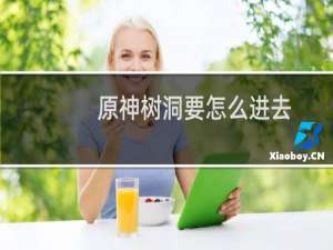 原神树洞要怎么进去