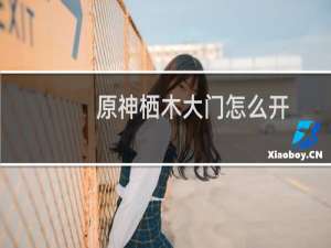 原神栖木大门怎么开