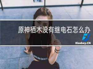 原神栖木没有继电石怎么办