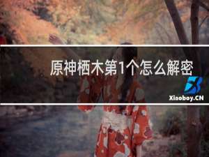 原神栖木第1个怎么解密