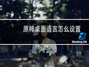 原神桌面语言怎么设置