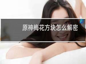 原神梅花方块怎么解密