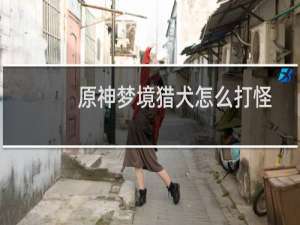 原神梦境猎犬怎么打怪