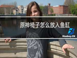 原神椅子怎么放入鱼缸