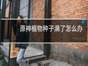 原神植物种子满了怎么办