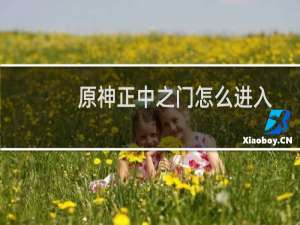 原神正中之门怎么进入