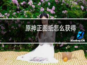 原神正图纸怎么获得