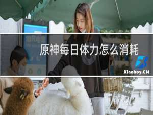 原神每日体力怎么消耗
