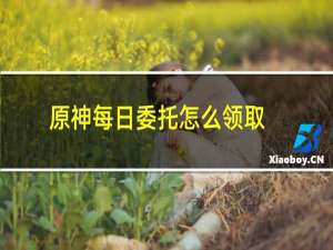 原神每日委托怎么领取