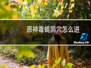 原神毒蝎洞穴怎么进