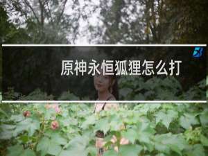 原神永恒狐狸怎么打