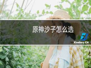 原神沙子怎么选