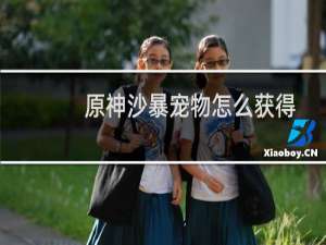 原神沙暴宠物怎么获得