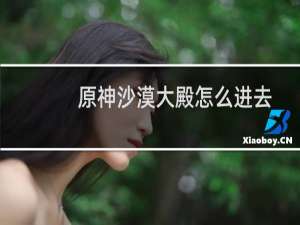原神沙漠大殿怎么进去