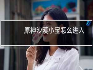 原神沙漠小宝怎么进入