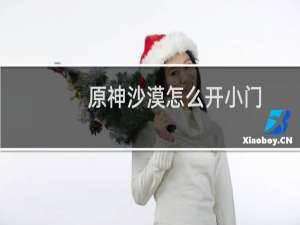 原神沙漠怎么开小门