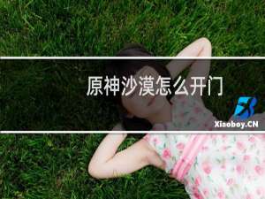 原神沙漠怎么开门