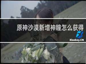 原神沙漠新增神瞳怎么获得