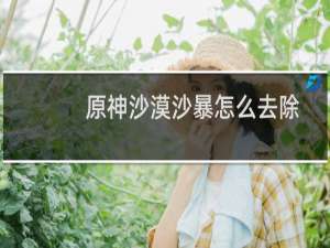 原神沙漠沙暴怎么去除