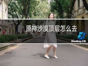 原神沙漠顶层怎么去