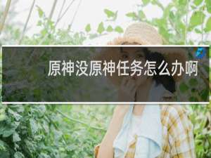 原神没原神任务怎么办啊