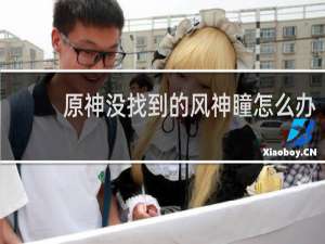 原神没找到的风神瞳怎么办