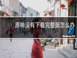 原神没有下载完整版怎么办