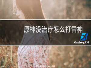 原神没治疗怎么打雷神