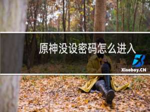 原神没设密码怎么进入