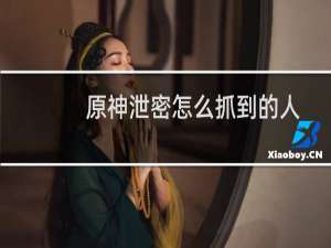 原神泄密怎么抓到的人