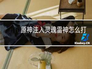 原神注入灵魂雷神怎么打