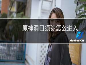 原神洞口须弥怎么进入