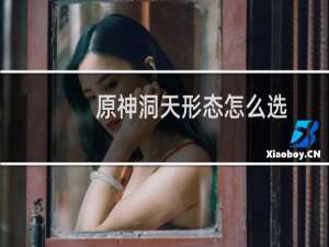 原神洞天形态怎么选