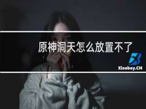 原神洞天怎么放置不了