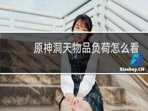 原神洞天物品负荷怎么看