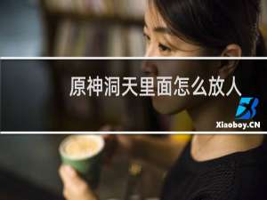 原神洞天里面怎么放人
