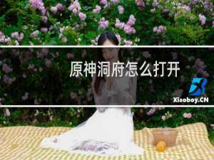原神洞府怎么打开