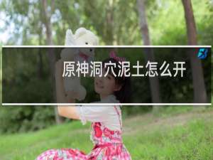 原神洞穴泥土怎么开